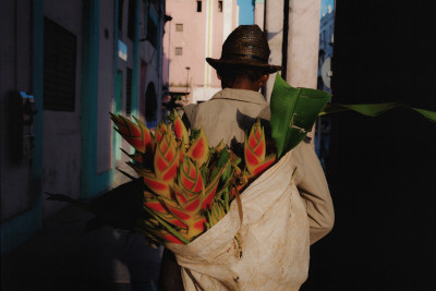 Cuba – Aliocha Boi